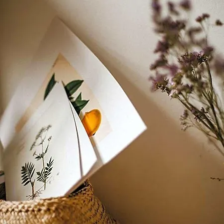 Hotel Goji Vegan Rhodes City