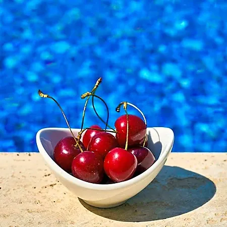 Apart Otel Goji Vegan